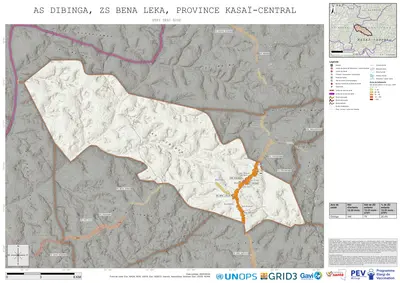 Comprehensive Dtp1: Dibinga, Bena-Leka, Kananga, Kasai-Central, COD (2025)