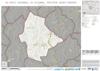 Comprehensive Dtp1: Nzuji-Kalamba, Bilomba, Kananga, Kasai-Central, COD (2025)