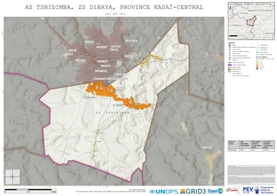 Comprehensive Dtp1: Tshidimba, Dibaya, Kananga, Kasai-Central, COD (2025)