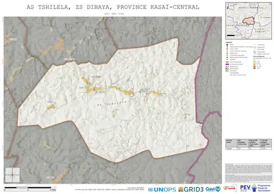 Comprehensive Dtp1: Tshilela, Dibaya, Kananga, Kasai-Central, COD (2025)