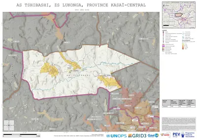 Comprehensive Dtp1: Tshibashi, Lukonga, Kananga, Kasai-Central, COD (2025)