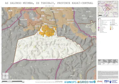 Comprehensive Dtp1: Salongo-Muimba, Tshikaji, Kananga, Kasai-Central, COD (2025)