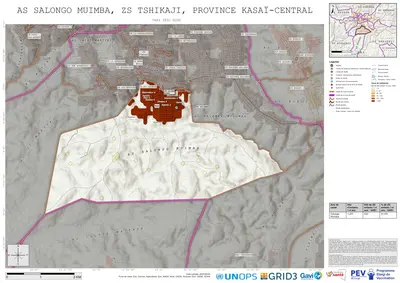 Comprehensive Var1: Salongo-Muimba, Tshikaji, Kananga, Kasai-Central, COD (2025)