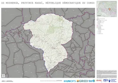 Reference: Mushenge, Mweka, Kasai, COD (2025)