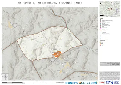 Comprehensive Dtp1: Bongo-1, Mushenge, Mweka, Kasai, COD (2025)