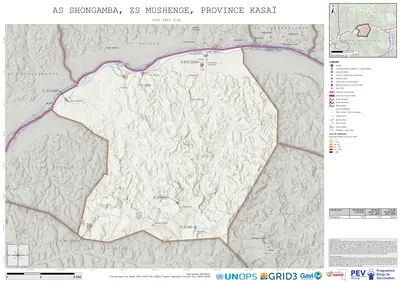 Comprehensive Dtp1: Shongamba, Mushenge, Mweka, Kasai, COD (2025)