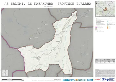 Comprehensive Dtp1: Salimi, Kafakumba, Kisenge, Lualaba, COD (2025)