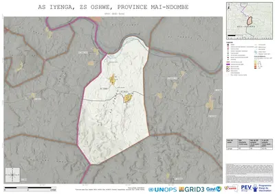 Comprehensive Dtp1: Iyenga, Oshwe, Inongo, Mai-Ndombe, COD (2025)