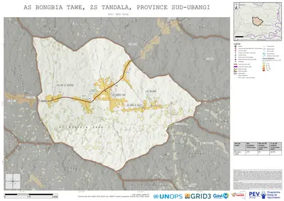 Comprehensive Dtp1: Bongbia-Tawe, Tandala, Gemena, Sud-Ubangi, COD (2025)