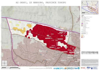 Comprehensive Var1: Okapi, Mangobo, Kisangani, Tshopo, COD (2025)